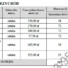 BIZNESPLAN wyroby z filcu (filcowanie na mokro i rękodzieło) - wzór PDF do dotacji