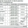 BIZNESPLAN wyroby z filcu (filcowanie na mokro i rękodzieło) - wzór PDF do dotacji