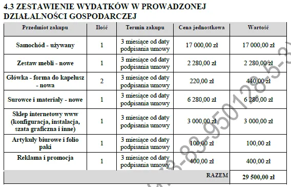 BIZNESPLAN wyroby z filcu (filcowanie na mokro i rękodzieło) - wzór PDF do dotacji