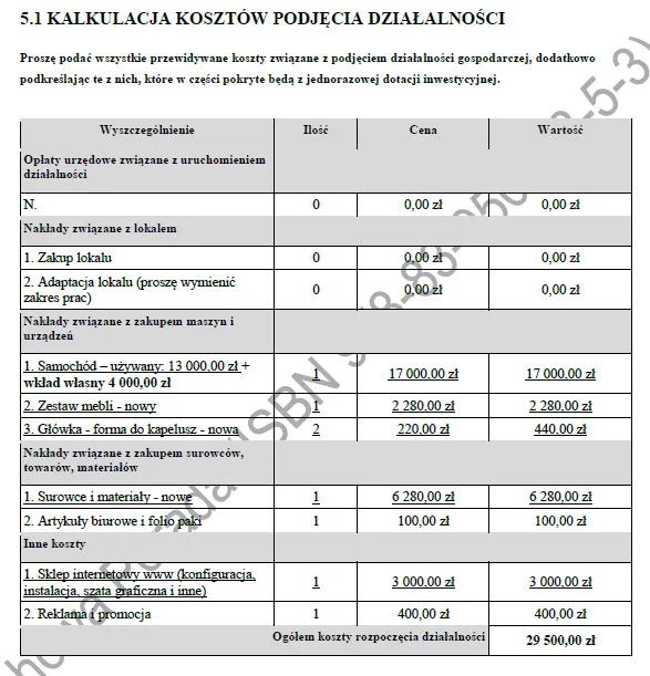 BIZNESPLAN wyroby z filcu (filcowanie na mokro i rękodzieło) - wzór PDF do dotacji