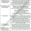 BIZNESPLAN Food Truck (mobilna gastronomia z włoskim smakiem) - wzór PDF do dotacji