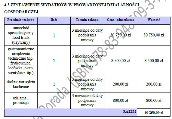 BIZNESPLAN Food Truck (mobilna gastronomia z włoskim smakiem) - wzór PDF do dotacji