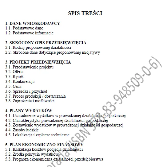 BIZNESPLAN autolaweta (pomoc drogowa i holowanie) - wzór PDF do dotacji
