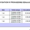BIZNESPLAN autolaweta (pomoc drogowa i holowanie) - wzór PDF do dotacji