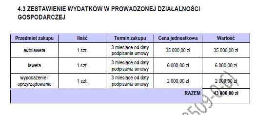 BIZNESPLAN autolaweta (pomoc drogowa i holowanie) - wzór PDF do dotacji