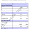 BIZNESPLAN autolaweta (pomoc drogowa i holowanie) - wzór PDF do dotacji