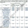 Biznesplan biuro nieruchomości (pośrednictwo w sprzedaży, kupnie i najmie) - wzór PDF do dotacji