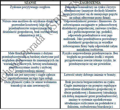 BIZNESPLAN biuro nieruchomości (pośrednictwo w sprzedaży, kupnie i najmie) - wzór PDF do dotacji