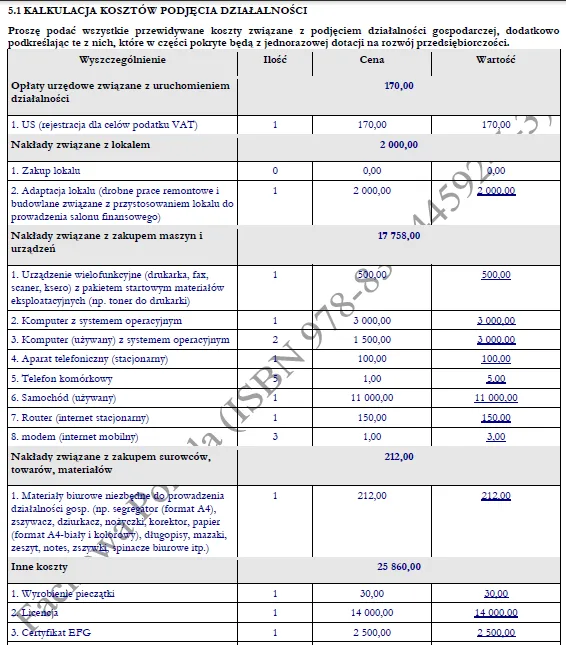 BIZNESPLAN doradztwo i pośrednictwo finansowe (kredyty, ubezpieczenia i leasing) - wzór PDF do dotacji