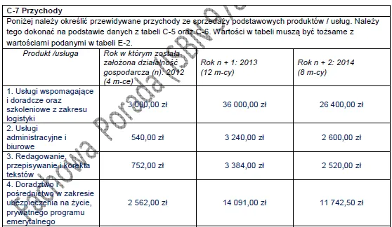 BIZNESPLAN doradztwo logistyczne (zamówienia, koszty, controlling, raporty i szkolenia) - wzór PDF do dotacji