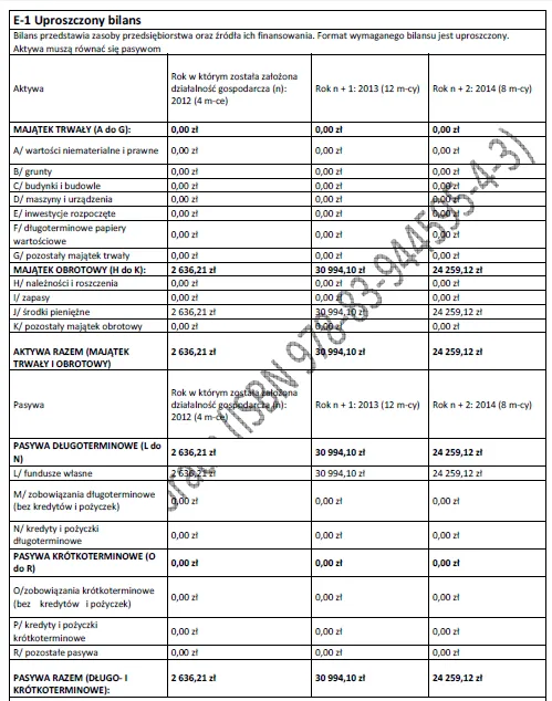 BIZNESPLAN doradztwo logistyczne (zamówienia, koszty, controlling, raporty i szkolenia) - wzór PDF do dotacji