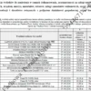Biznesplan firma rekrutacyjna (pośrednictwo pracy i rekrutacja pracowników) - wzór PDF do dotacji