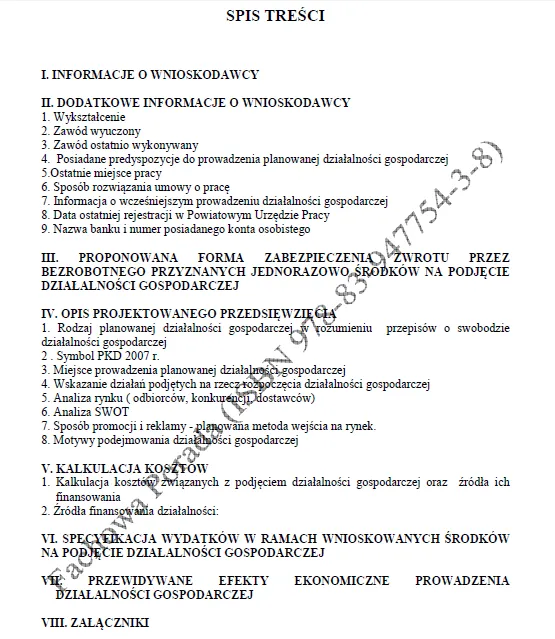 BIZNESPLAN firma remontowo-budowlana (remonty, brukarstwo i roboty ogólnobudowlane) - wzór PDF do dotacji