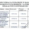 BIZNESPLAN firma remontowo-budowlana (remonty, brukarstwo i roboty ogólnobudowlane) - wzór PDF do dotacji