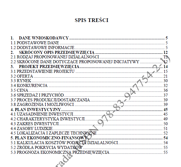 BIZNESPLAN firma remontowa i elewacyjna (remonty wnętrz, docieplenia i elewacje) - wzór PDF do dotacji