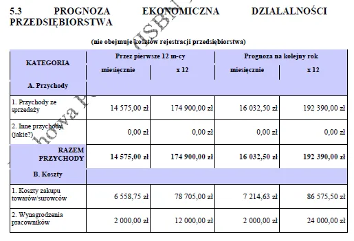 BIZNESPLAN firma remontowa i elewacyjna (remonty wnętrz, docieplenia i elewacje) - wzór PDF do dotacji