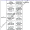 BIZNESPLAN firma remontowa i elewacyjna (remonty wnętrz, docieplenia i elewacje) - wzór PDF do dotacji
