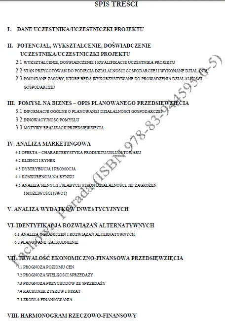 BIZNESPLAN firma transportowa (krajowy i międzynarodowy transport drogowy towarów) - wzór PDF do dotacji