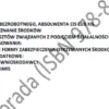 BIZNESPLAN fotografia okolicznościowa (śluby, plenery i sesje fotograficzne) - wzór PDF do dotacji