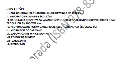 BIZNESPLAN fotografia okolicznościowa (śluby, plenery i sesje fotograficzne) - wzór PDF do dotacji
