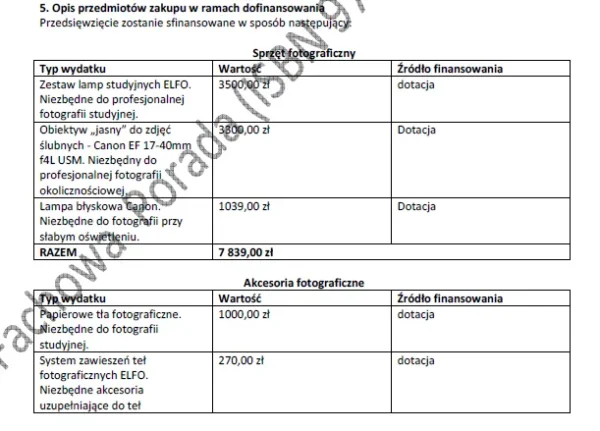 BIZNESPLAN fotografia okolicznościowa (śluby, plenery i sesje fotograficzne) - wzór PDF do dotacji