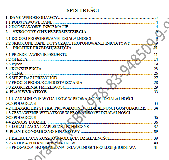 BIZNESPLAN instruktor nauki jazdy (jazdy kursowe i doszkalające) - wzór PDF do dotacji