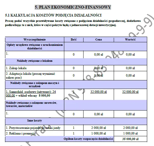 BIZNESPLAN instruktor nauki jazdy (jazdy kursowe i doszkalające) - wzór PDF do dotacji