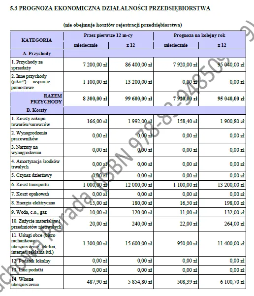 Biznesplan instruktor nauki jazdy (jazdy kursowe i doszkalające) - wzór PDF do dotacji