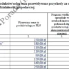 BIZNESPLAN internetowy sklep odzieżowy (moda damska, młodzieżowa i plus size) - wzór PDF do dotacji