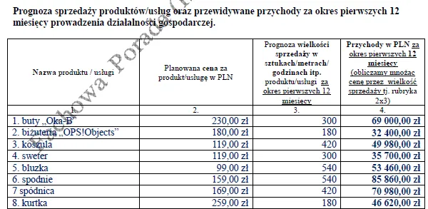 BIZNESPLAN internetowy sklep odzieżowy (moda damska, młodzieżowa i plus size) - wzór PDF do dotacji