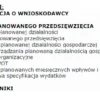 BIZNESPLAN mobilne pranie tapicerki samochodowej (meble, dywany i wykładziny) - wzór PDF do dotacji