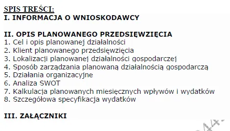 BIZNESPLAN mobilne pranie tapicerki samochodowej (meble, dywany i wykładziny) - wzór PDF do dotacji