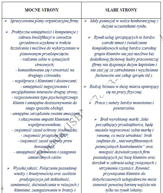 BIZNESPLAN mobilne pranie tapicerki samochodowej (meble, dywany i wykładziny) - wzór PDF do dotacji