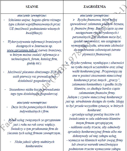 BIZNESPLAN mobilne pranie tapicerki samochodowej (meble, dywany i wykładziny) - wzór PDF do dotacji