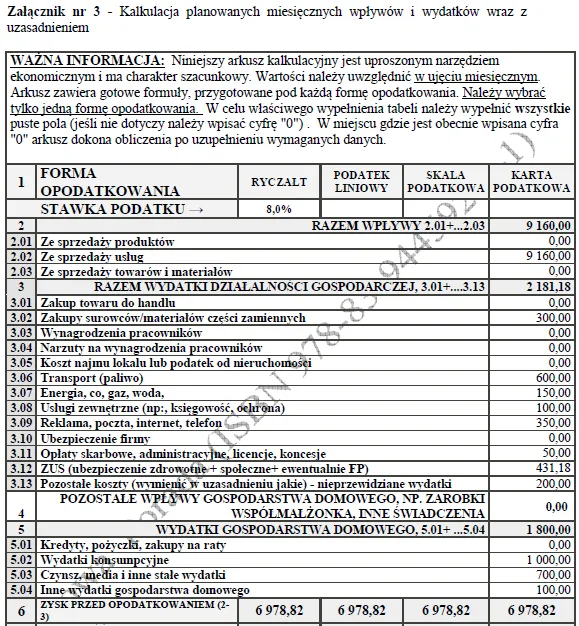 BIZNESPLAN mobilne pranie tapicerki samochodowej (meble, dywany i wykładziny) - wzór PDF do dotacji