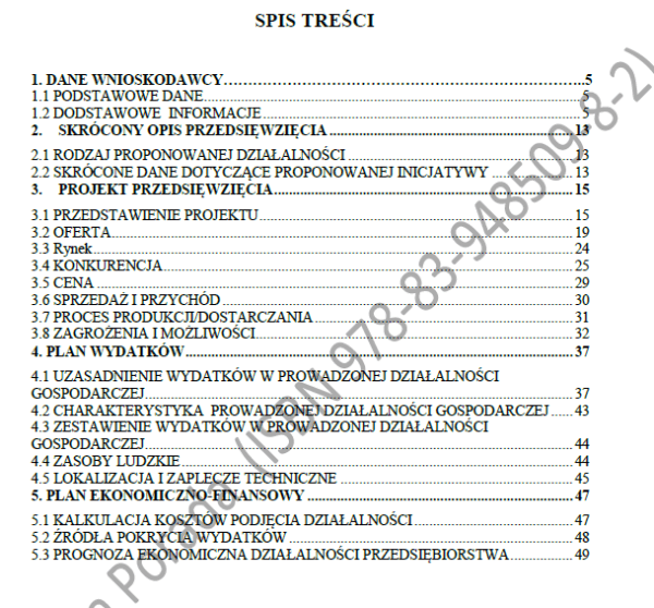 BIZNESPLAN mobilne usługi barmańskie (mobilny bar i pokazy) - wzór PDF do dotacji