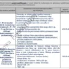 Biznesplan mobilny salon groomerski (fryzjer dla psów z dojazdem) - wzór PDF do dotacji-3 BIZNESPLAN mobilny salon groomerski (fryzjer dla psów z dojazdem) - wzór PDF do dotacji