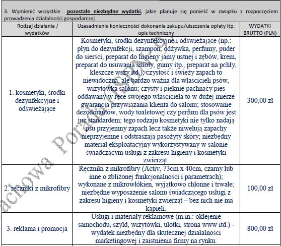 Biznesplan mobilny salon groomerski (fryzjer dla psów z dojazdem) - wzór PDF do dotacji-4 BIZNESPLAN mobilny salon groomerski (fryzjer dla psów z dojazdem) - wzór PDF do dotacji
