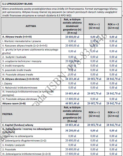 Biznesplan mobilny salon groomerski (fryzjer dla psów z dojazdem) - wzór PDF do dotacji-5 BIZNESPLAN mobilny salon groomerski (fryzjer dla psów z dojazdem) - wzór PDF do dotacji