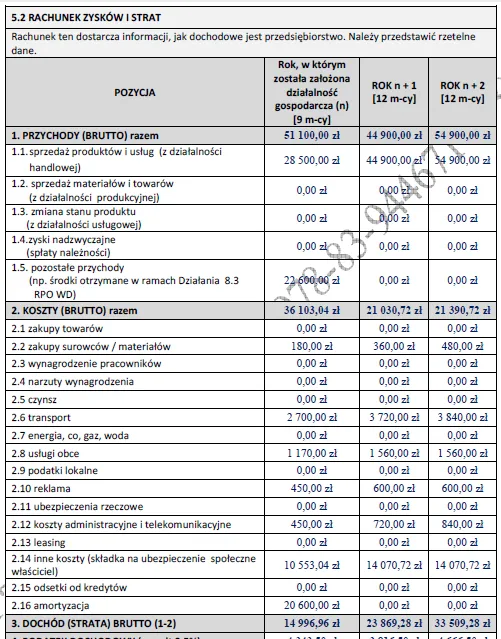 Biznesplan mobilny salon groomerski (fryzjer dla psów z dojazdem) - wzór PDF do dotacji-6 BIZNESPLAN mobilny salon groomerski (fryzjer dla psów z dojazdem) - wzór PDF do dotacji