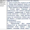 BIZNESPLAN mobilny warsztat samochodowy (elektronika, diagnostyka i chiptuning) - wzór PDF do dotacji