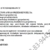 Biznesplan outlet odzieżowy (stacjonarny sklep z końcówkami kolekcji) - wzór PDF do dotacji-1 BIZNESPLAN outlet odzieżowy (stacjonarny sklep z końcówkami kolekcji) - wzór PDF do dotacji