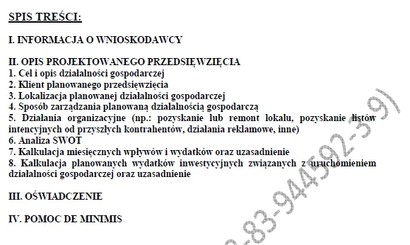 Biznesplan outlet odzieżowy (stacjonarny sklep z końcówkami kolekcji) - wzór PDF do dotacji-1 BIZNESPLAN outlet odzieżowy (stacjonarny sklep z końcówkami kolekcji) - wzór PDF do dotacji