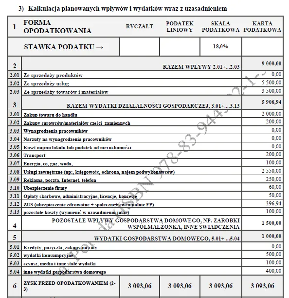 BIZNESPLAN pracownia architektury krajobrazu (projektowanie, zakładanie i pielęgnacja ogrodów) - wzór PDF do dotacji