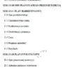 BIZNESPLAN pracownia architektury wnętrz (projektowanie, aranżacja i wnętrza pod klucz) - wzór PDF do dotacji