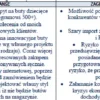 BIZNESPLAN produkcja butów wełnianych (rękodzieło i obuwie handmade) - wzór PDF do dotacji