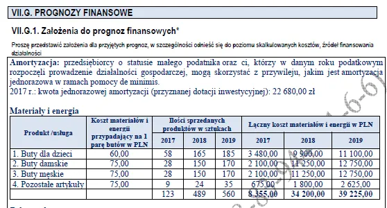BIZNESPLAN produkcja butów wełnianych (rękodzieło i obuwie handmade) - wzór PDF do dotacji