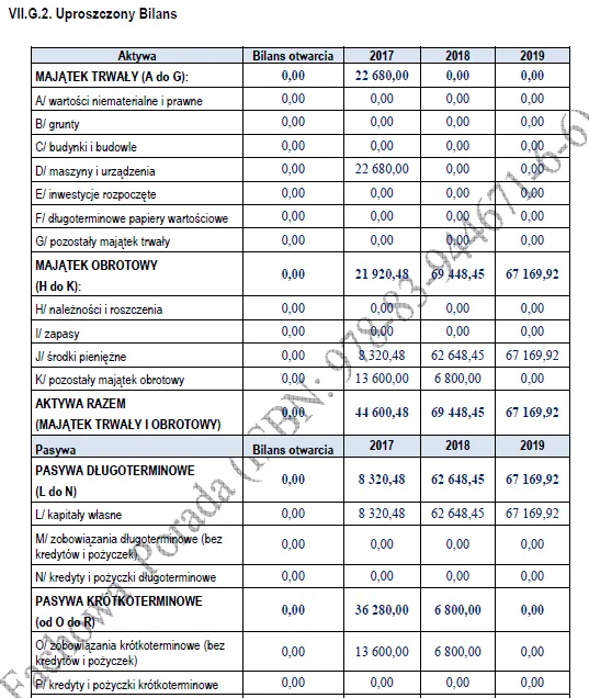 BIZNESPLAN produkcja butów wełnianych (rękodzieło i obuwie handmade) - wzór PDF do dotacji