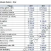 Biznesplan produkcja butów wełnianych (rękodzieło i obuwie handmade) - wzór PDF do dotacji