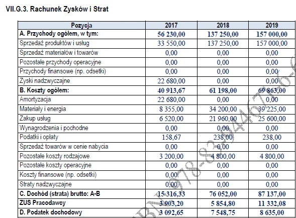 Biznesplan produkcja butów wełnianych (rękodzieło i obuwie handmade) - wzór PDF do dotacji